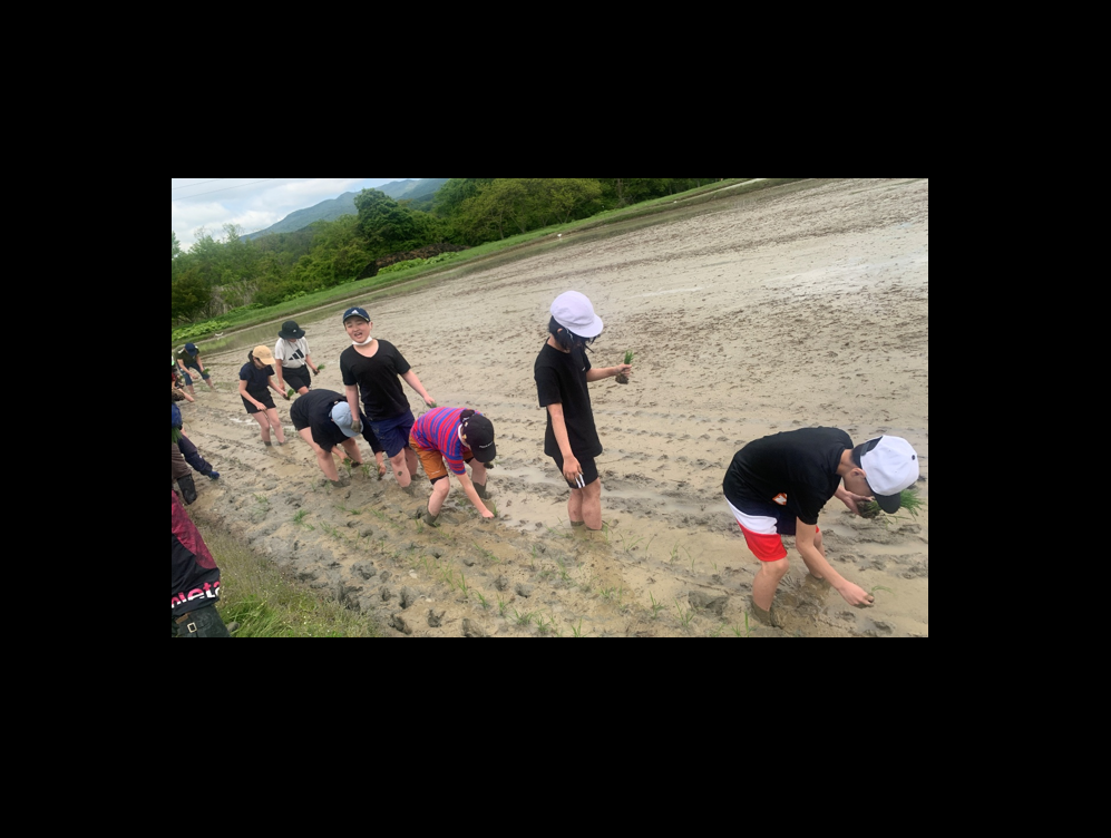 田植え.png